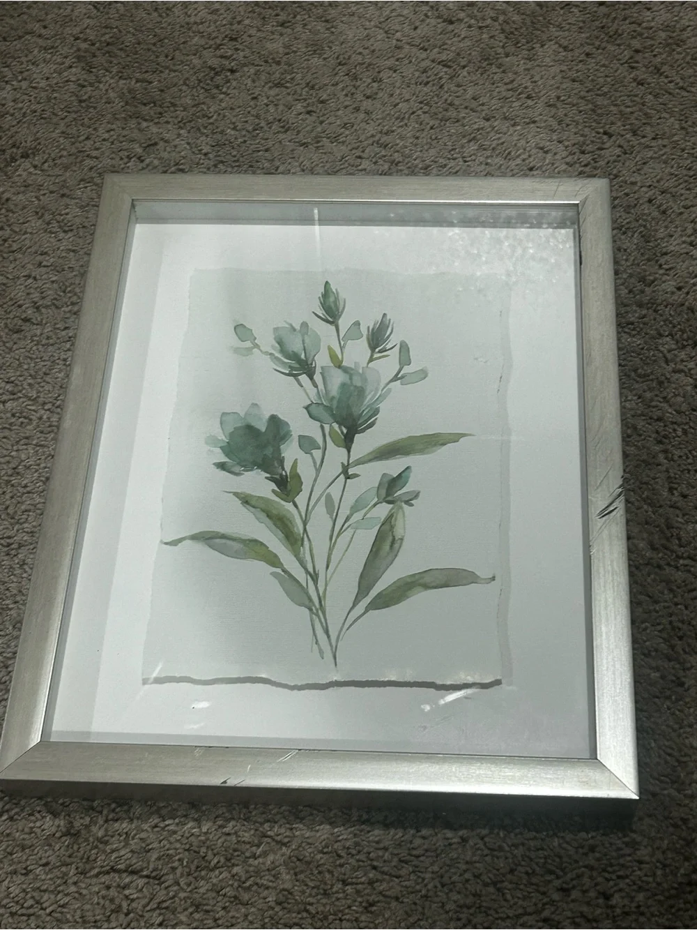 Framed Botanical Watercolor Wall Art in Soft Greens